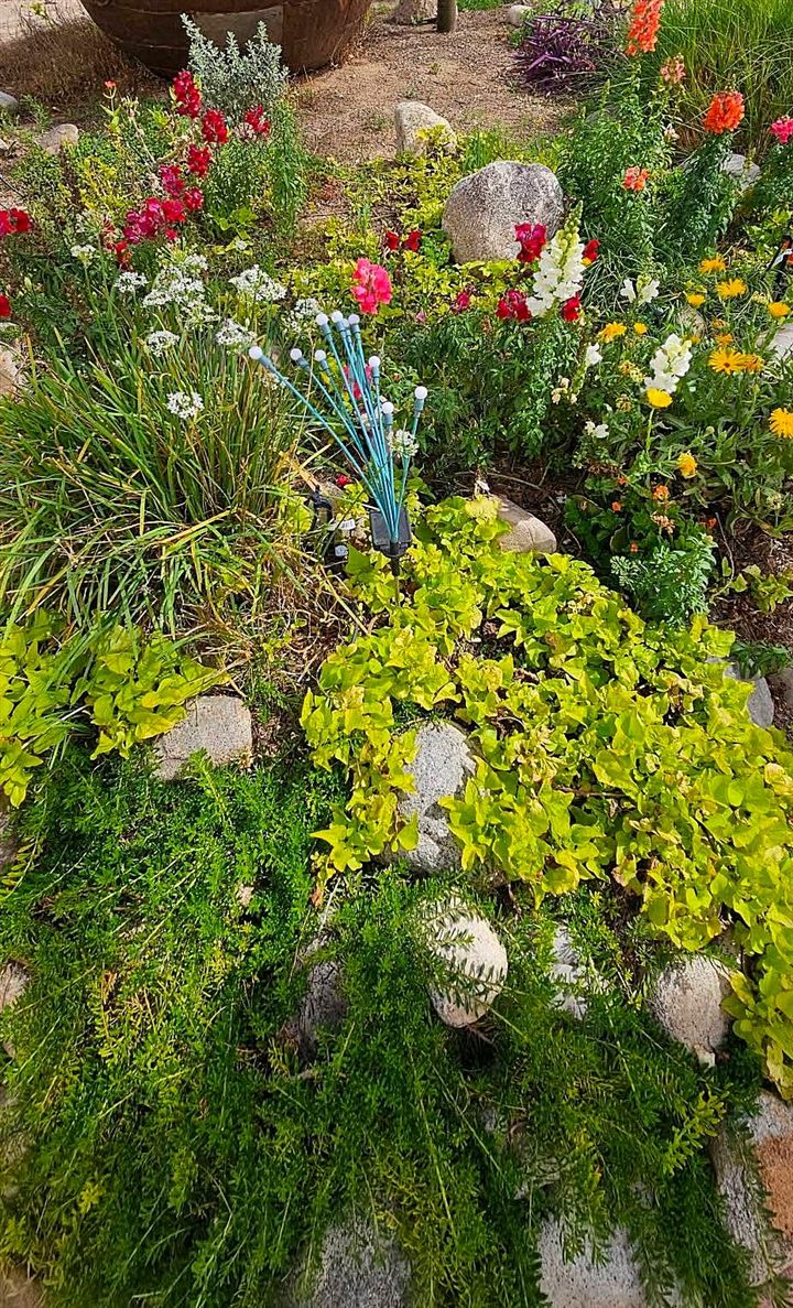 A garden bed of snapdragons, garlic chives and sweet potato vine edged with river rock