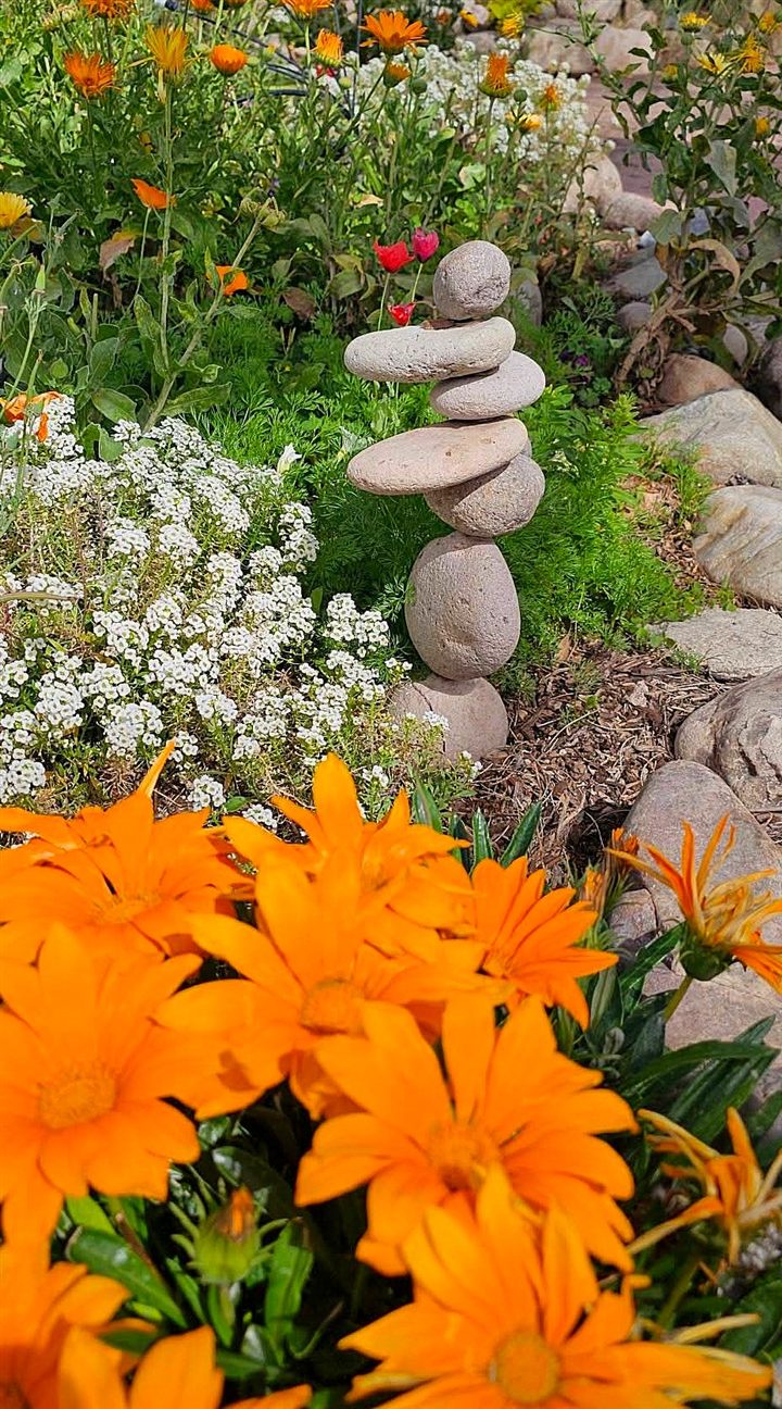 A stack of smooth stones among orange gazanias and white sweet alyssum